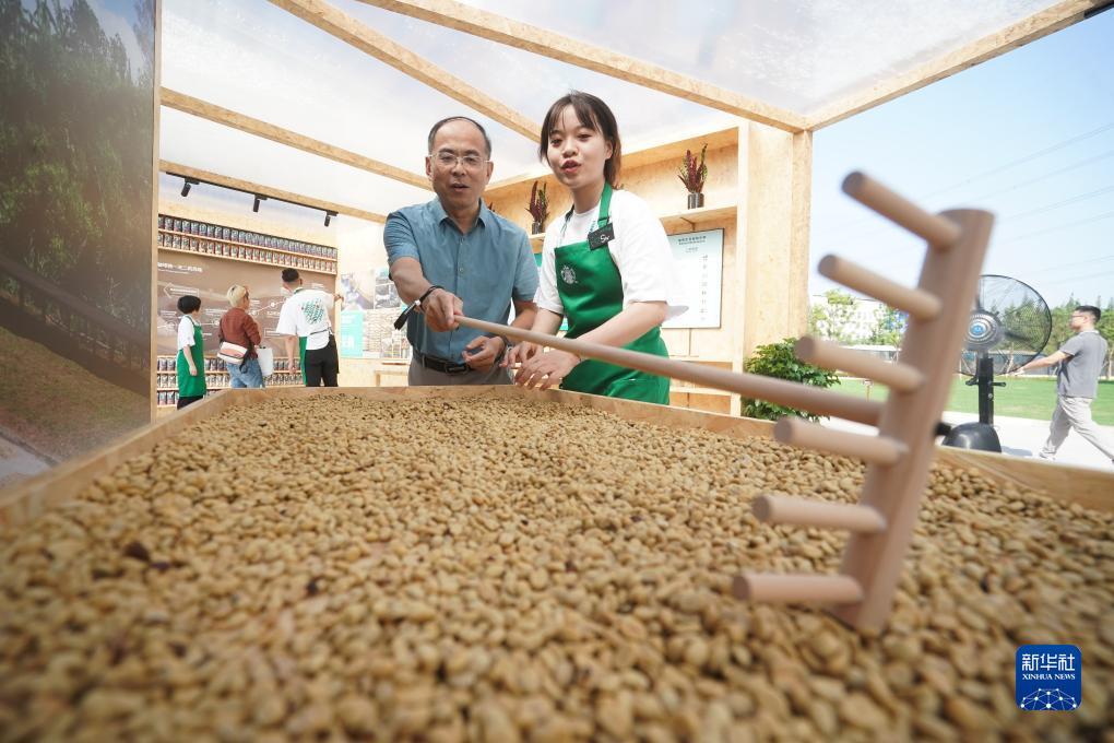 东东游戏网